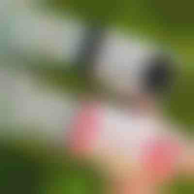 69-dierková LED bublifuková pištoľ | BUBBLEPUFF