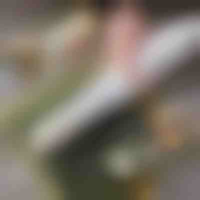 Jednoduchý domáci sushi valček | SUSHROLIO