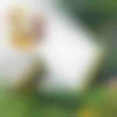 Viachlavový hadicový zavlažovač | SPRAYMASTER